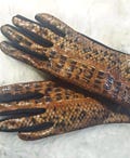Leather gloves,Stylich gloves,Summer gloves,Formal gloves,Evening gloves,Driving gloves,Fashion gloves,Victorian gloves,Ladies gloves