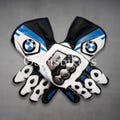 BMW Motorcycle Racing Leather Gloves – White Blue Black – Protective MotoGP Biker Gloves – Premium Riding Gear for Men & Women