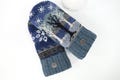 Upcycled SUEDE Palm Women's warm felted wool sweater mittens blue/gray Icelandic Design polartec fleece lined mittens size L